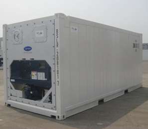 10' Offshore Reefer Container